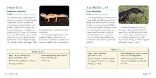 Reptiles for Kids: A Junior Scientist's Guide to Lizards, Amphibians, and Cold-Blooded Creatures