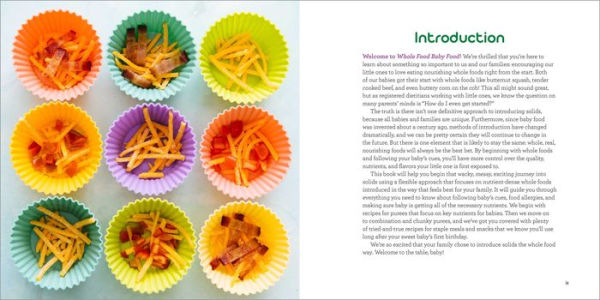 Whole Food Baby Food: Healthy Recipes to Help Infants and Toddlers Thrive