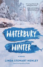Waterbury Winter: A Novel