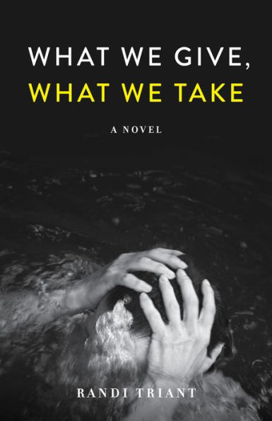 What We Give, What We Take: A Novel
