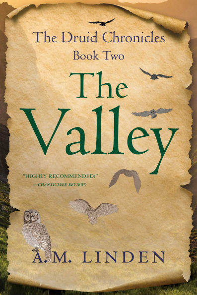 The Valley: Druid Chronicles, Book Two