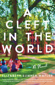 Title: A Cleft in the World: A Novel, Author: Elizabeth Sumner Wafler