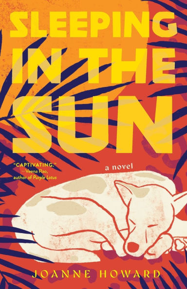 Sleeping the Sun: A Novel