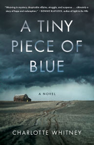 A Tiny Piece of Blue: A Novel