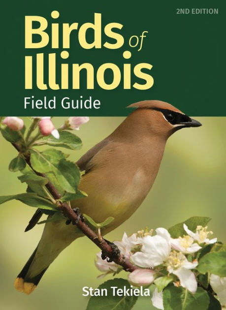 Birds of Illinois Field Guide by Stan Tekiela, Paperback | Barnes & Noble®