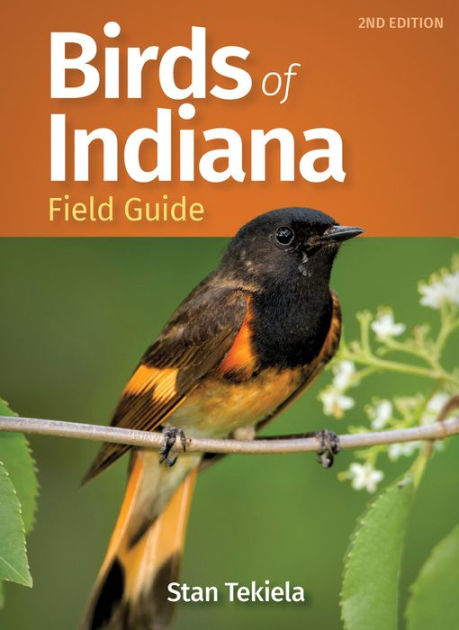 Birds of Indiana Field Guide by Stan Tekiela, Paperback | Barnes & Noble®