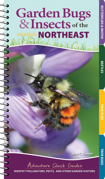 Garden Bugs & Insects of the Northeast: Identify Pollinators, Pests, and Other Garden Visitors
