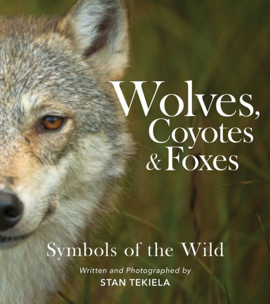 Wolves, Coyotes & Foxes: Symbols of the Wild