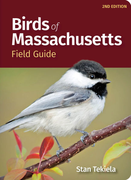 Birds of Massachusetts Field Guide