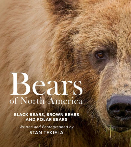 Bears of North America: Black Bears, Brown and Polar