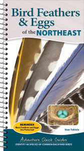 Title: Bird Feathers & Eggs of the Northeast: Identify 40 Species of Common Backyard Birds, Author: Stan Tekiela