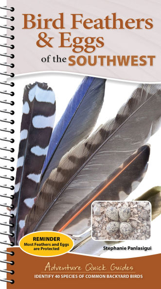 Bird Feathers & Eggs of the Southwest: Identify 40 Species of Common Backyard Birds