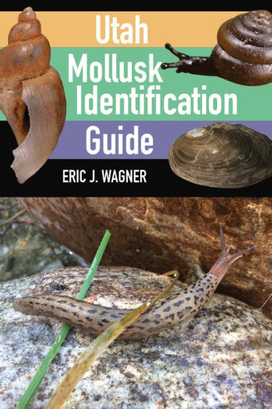 Utah Mollusk Identification Guide