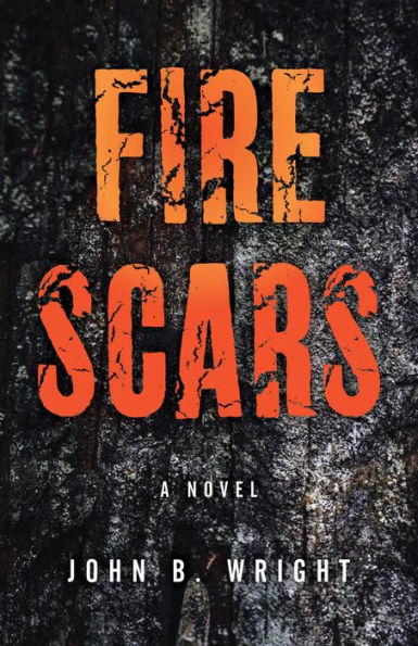 Fire Scars: A Novel