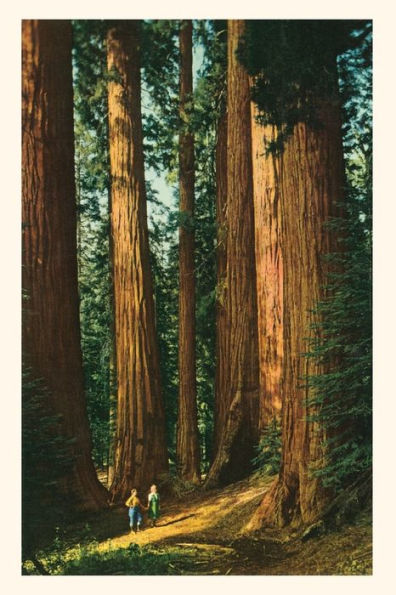 The Vintage Journal Sequoia Trees