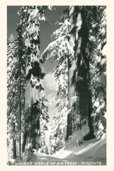 Vintage Journal Wawona Grove of Big Trees, Yosemite