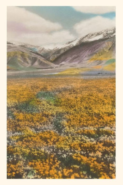 Vintage Journal California Poppies