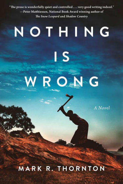 Nothing Is Wrong: A Novel