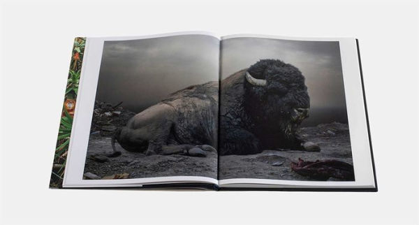 Simen Johan