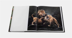 Alternative view 7 of Simen Johan