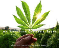 Free ebook download german An American Cannabis Story 9781648230295