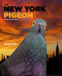 Alternative view 9 of The New York Pigeon
