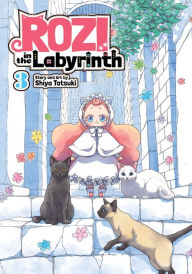 Forums for ebook downloads Rozi in the Labyrinth Vol. 3 English version 9781648273766