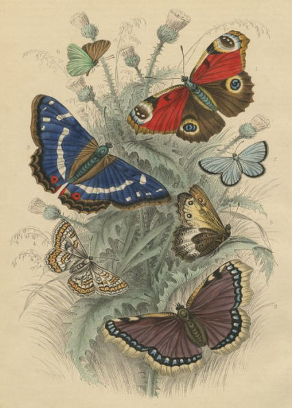 John Derian Paper Goods: Dancing Butterflies 750-Piece Puzzle