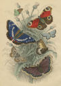 Alternative view 5 of John Derian Paper Goods: Dancing Butterflies 750-Piece Puzzle