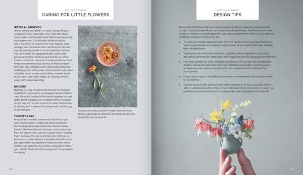 The Little Flower Recipe Book: 148 Tiny Arrangements for Every Season and Occasion