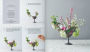 Alternative view 4 of The Little Flower Recipe Book: 148 Tiny Arrangements for Every Season and Occasion