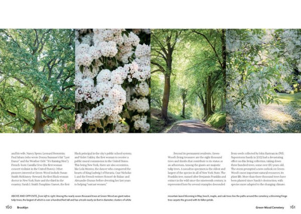 New York Green: Discovering the City's Most Treasured Parks and Gardens