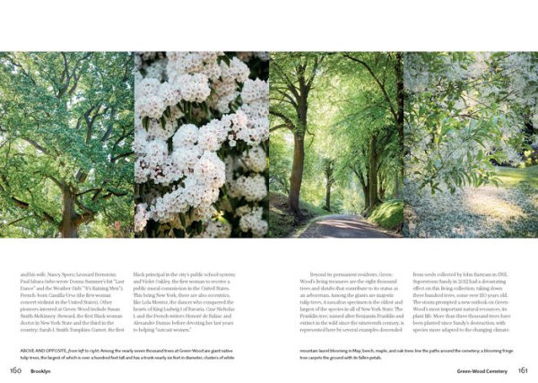 New York Green: Discovering the City's Most Treasured Parks and Gardens