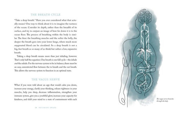 The Breathwork Companion: Unlock the Healing Power of Breathing