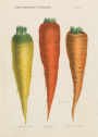 Alternative view 2 of John Derian Paper Goods: Three Carrots 1,000-Piece Puzzle