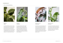 Alternative view 13 of Terrain: The Houseplant Book: An Insider's Guide to Cultivating and Collecting the Most Sought-After Specimens