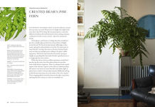 Alternative view 14 of Terrain: The Houseplant Book: An Insider's Guide to Cultivating and Collecting the Most Sought-After Specimens