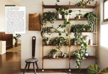 Alternative view 18 of Terrain: The Houseplant Book: An Insider's Guide to Cultivating and Collecting the Most Sought-After Specimens