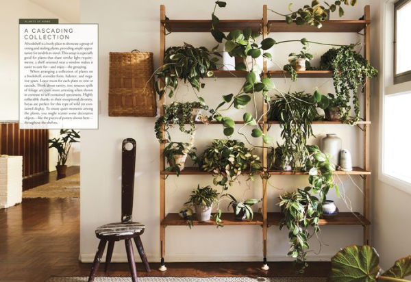 Terrain: The Houseplant Book: An Insider's Guide to Cultivating and Collecting the Most Sought-After Specimens