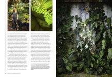 Alternative view 3 of Terrain: The Houseplant Book: An Insider's Guide to Cultivating and Collecting the Most Sought-After Specimens