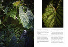 Alternative view 4 of Terrain: The Houseplant Book: An Insider's Guide to Cultivating and Collecting the Most Sought-After Specimens