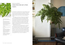 Alternative view 7 of Terrain: The Houseplant Book: An Insider's Guide to Cultivating and Collecting the Most Sought-After Specimens