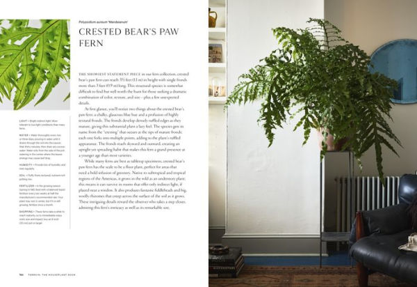 Terrain: The Houseplant Book: An Insider's Guide to Cultivating and Collecting the Most Sought-After Specimens