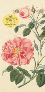 Free ebooks and magazines downloads John Derian Paper Goods: Everything Roses Notepad English version by  PDB