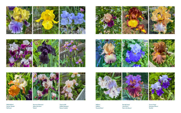 Life with Flowers: Inspiration and Lessons from the Garden