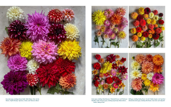 Life with Flowers: Inspiration and Lessons from the Garden