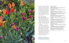 Alternative view 6 of Life with Flowers: Inspiration and Lessons from the Garden