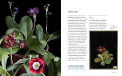 Alternative view 9 of Life with Flowers: Inspiration and Lessons from the Garden