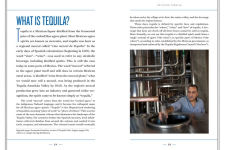 Alternative view 4 of A Field Guide to Tequila: What It Is, Where It's From, and How to Taste It