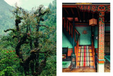 Alternative view 11 of Kinfolk Wilderness